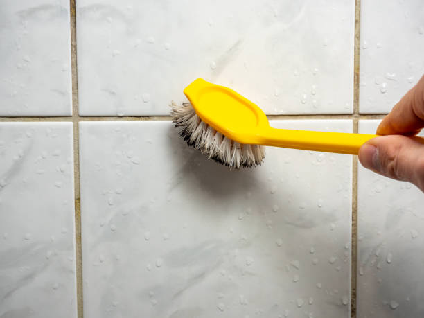 Best Emergency Mold Removal  in Bayshore Gardens, FL