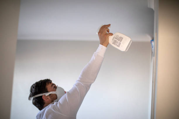 Best Residential Mold Removal  in Bayshore Gardens, FL